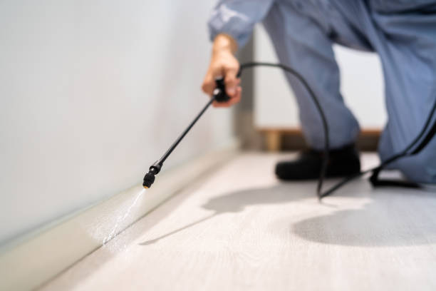 Licensed Termite Control service in Colma, CA - Nex Pest Control