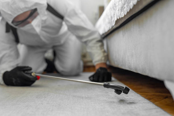 Professional Termite Control technician working in Colma, CA