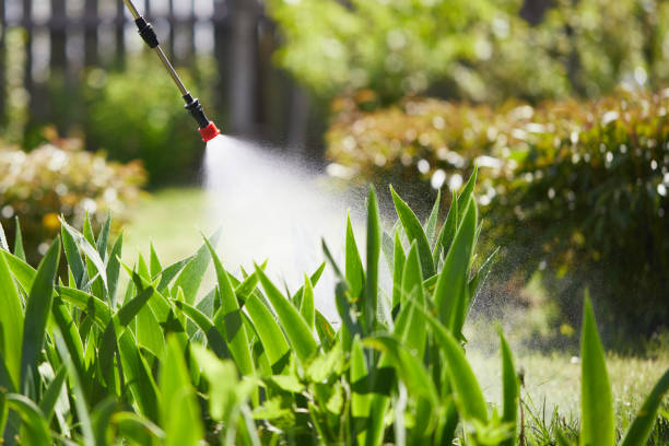 24/7 Emergency Termite Control experts in Colma, CA