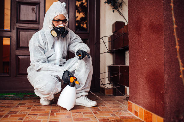 Reliable Termite Control contractor in Colma, CA by Nex Pest Control